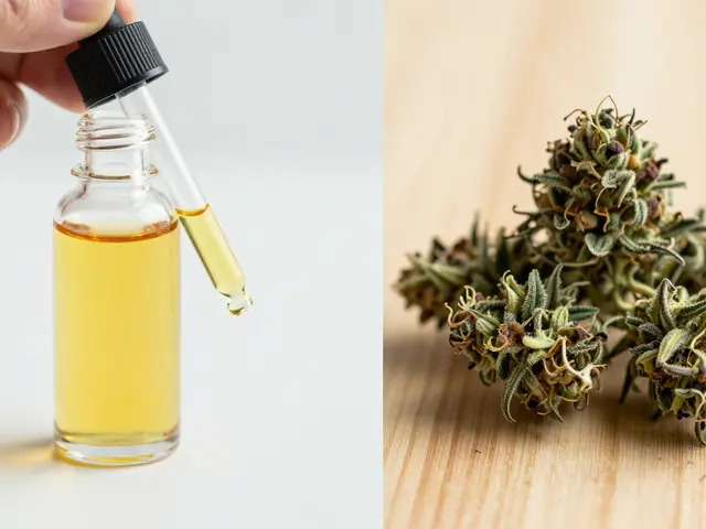 Je konopná oleje silnější než květ? Porovnání účinků CBD a THC