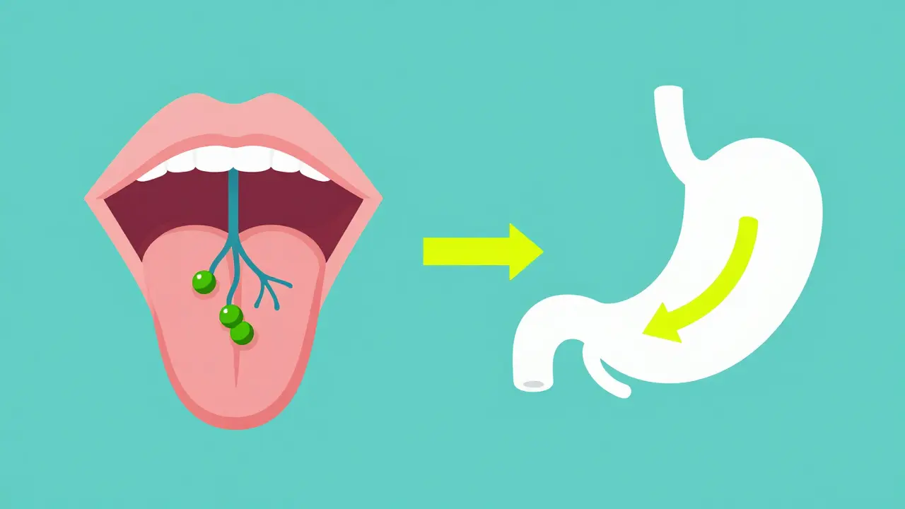 Ilustrace rychlého vstřebávání kanabinoidů přes sliznici