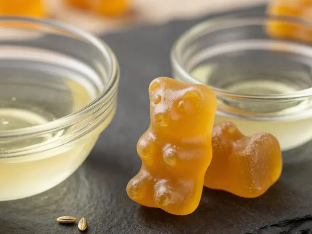Proč jíst tuk s edibles? Zvyšte vstřebání THCV a THC o 20-40 %